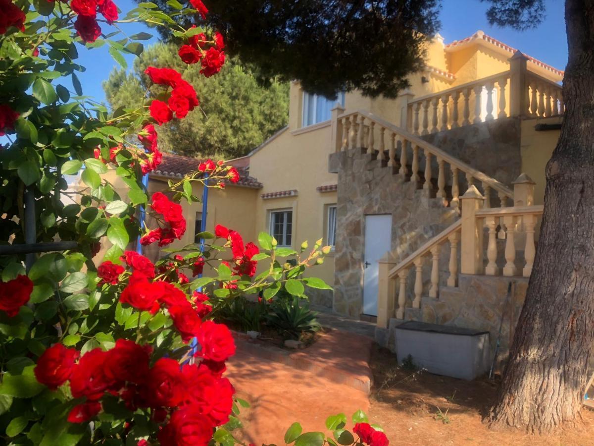 Villa Eliza Denia Exterior photo